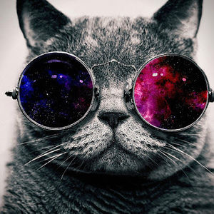 Meet your Posher, Alejandro